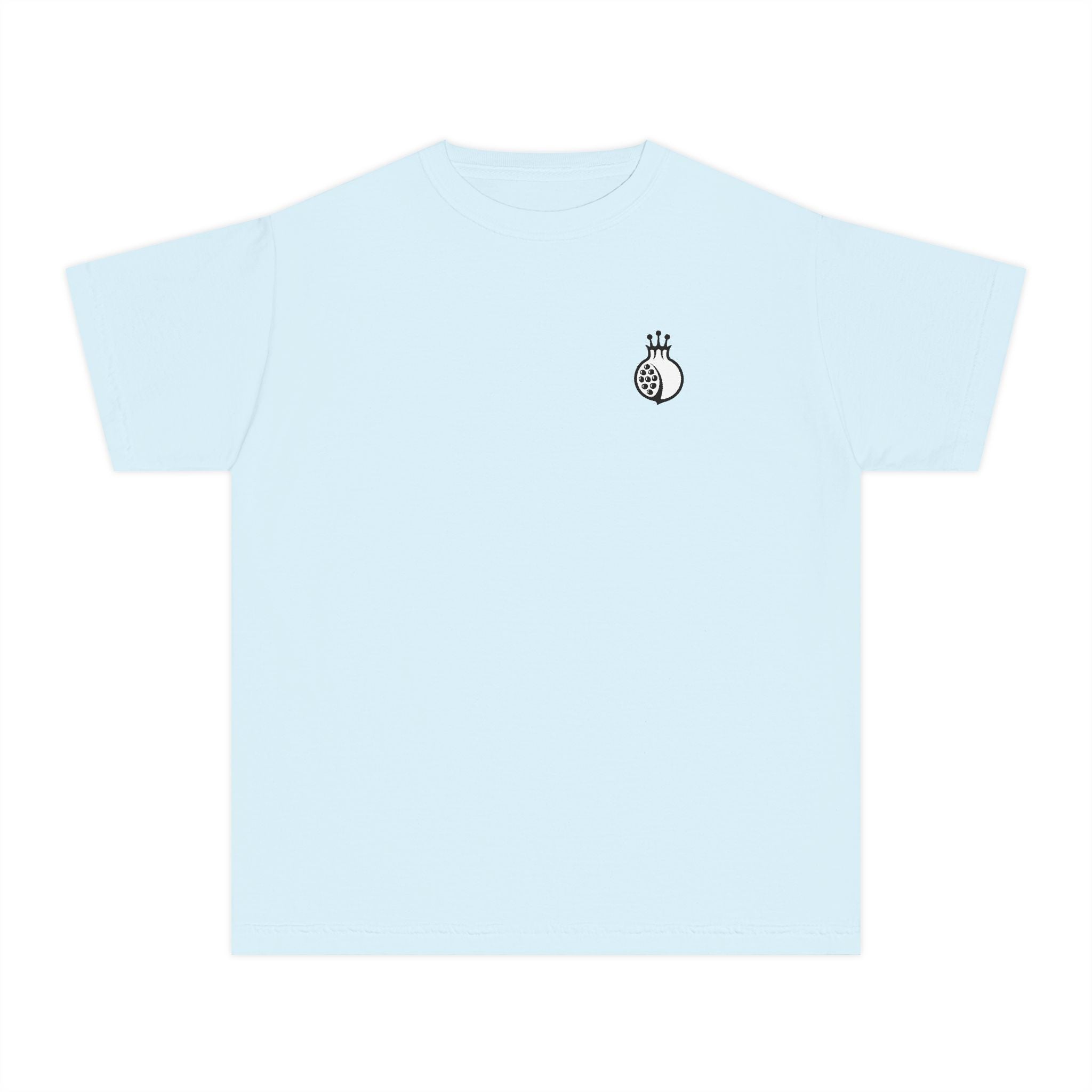 Jewcy Heritage Youth Tee