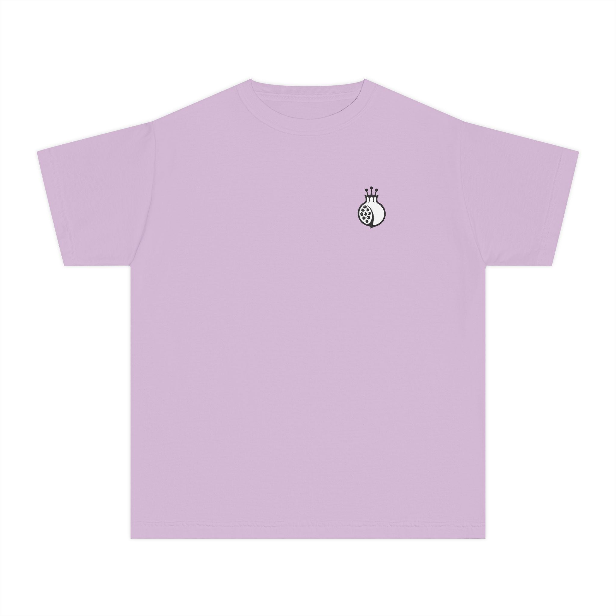 Jewcy Heritage Youth Tee